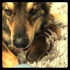 Birkenstocks size 38